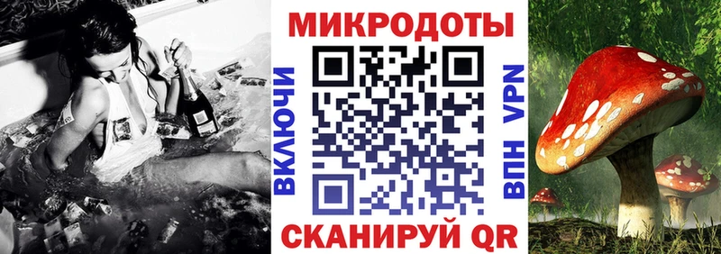 Псилоцибиновые грибы Cubensis  Почеп 